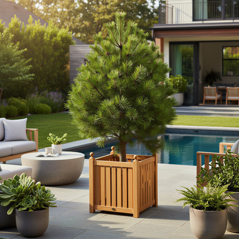 Teak Garden Planter Box 22" (55 cm)